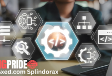 wsxed.com splindorax